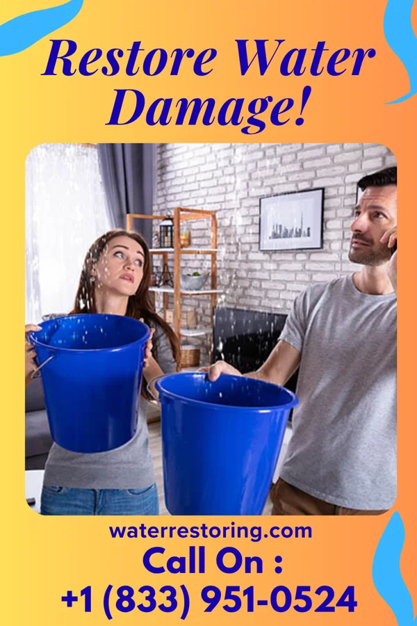water restoration Silver Cleanup Pros Greenville