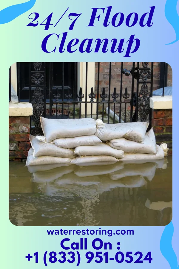 24/7 Flood Cleanup in Greenville, MI
