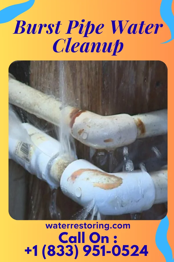 Burst Pipe Water Cleanup in Greenville, MI