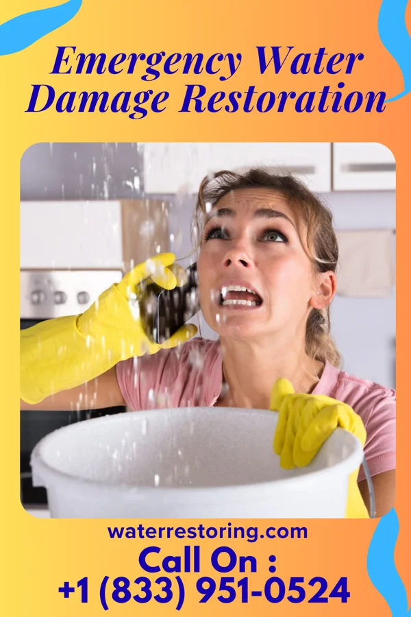 Emergency Water Damage Restoration in Greenville, MI