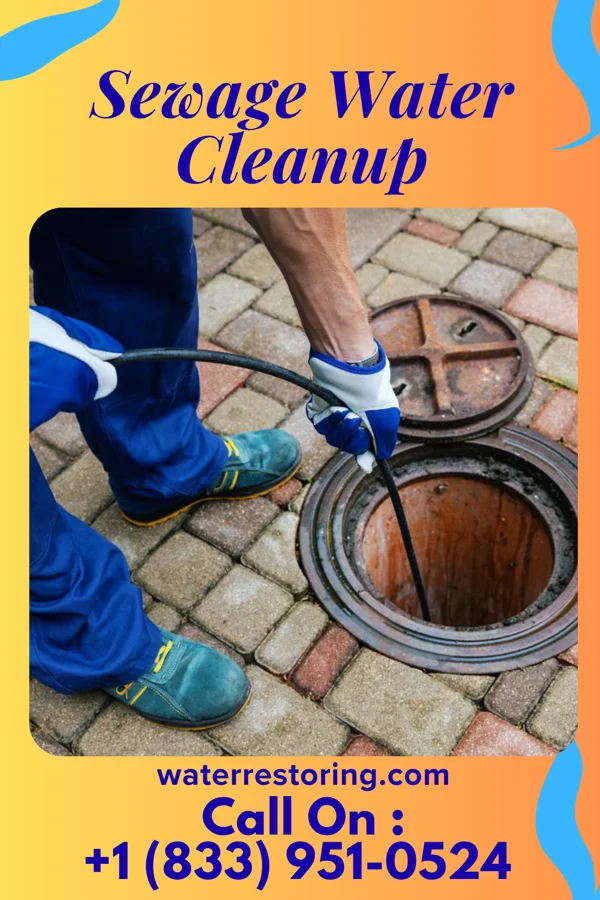 Sewage Water Cleanup in Greenville, MI
